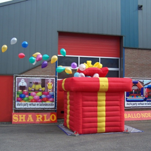 Ballonnen Box incl. 100 Ballonnen en oplating Ballonnen Box incl. 100 Ballonnen en oplating